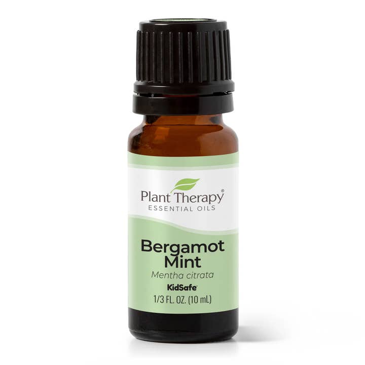 Bergamot Mint Essential Oil 10 mL for wholesale by Plant Therapy