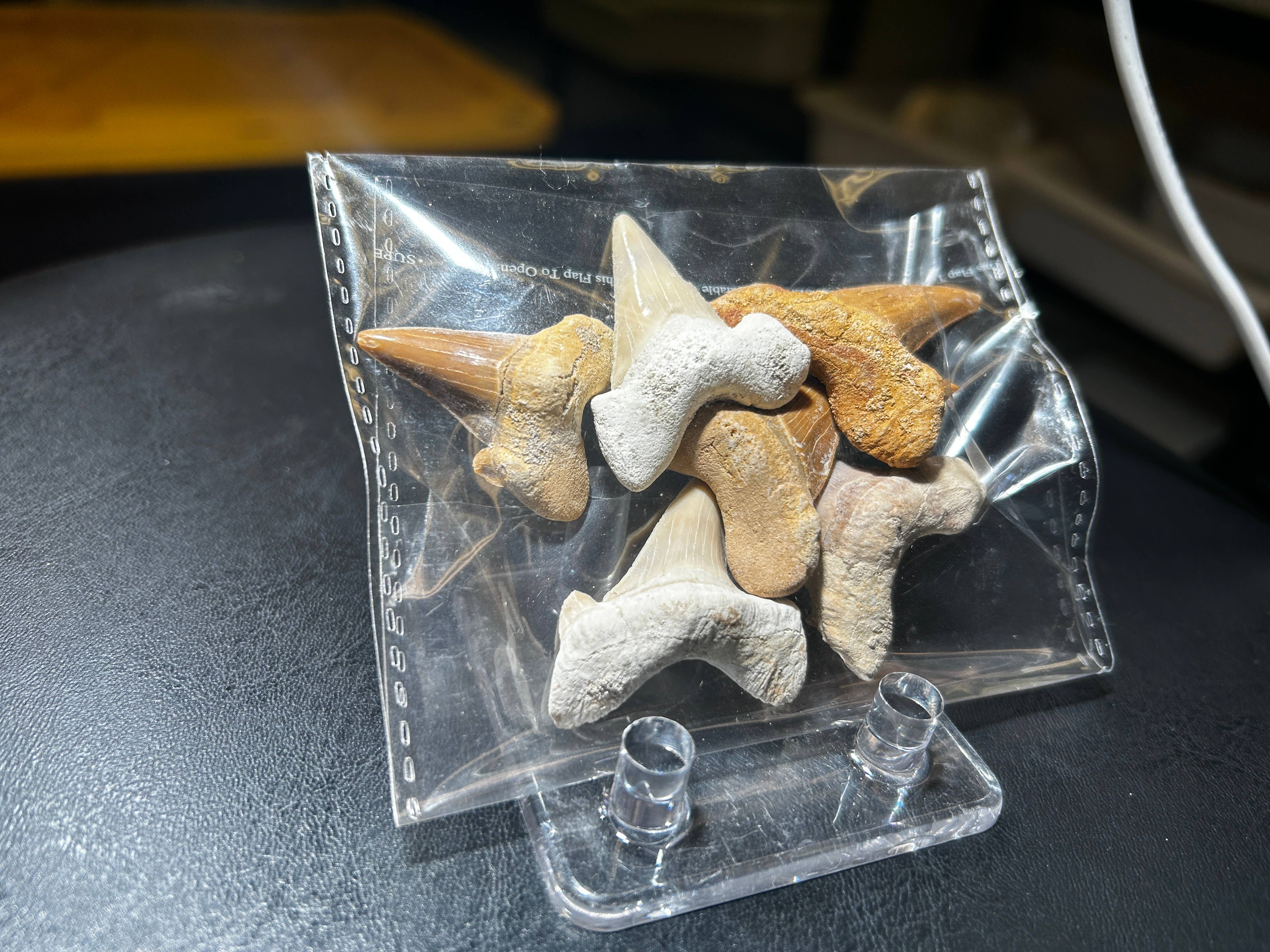 Metaphysical & Healing Crystals - Wholesale Spiritual Stone/Crystal - SHARK TEETH2