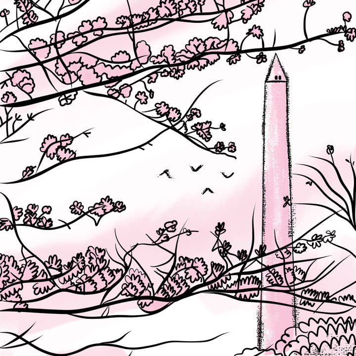 Wildsam Field Guides - Wholesale Travel - Washington, D.C. Field Guide Book2