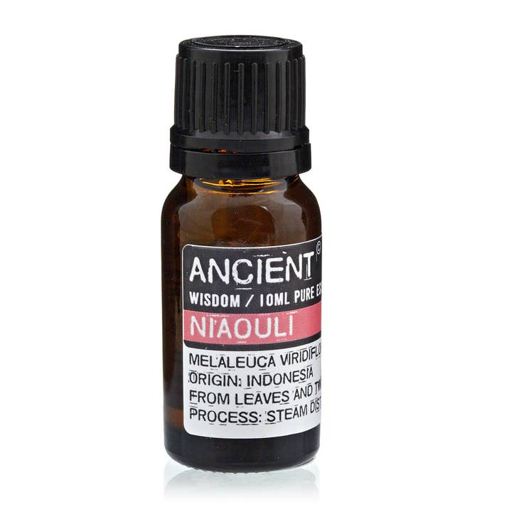 10 ml Niaouli Essential Oil for wholesale by Ancient Wisdom