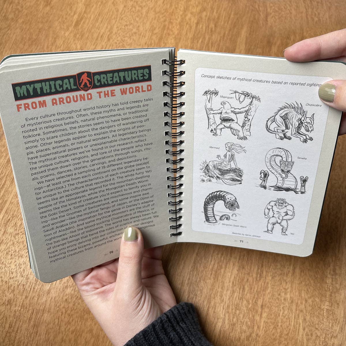 Anderson Design Group - Wholesale Nature & Outdoors Book - Legends Of The National Park Guide Book: (Best Seller!)8