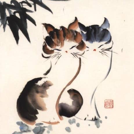 CATCH 12X12 DOUBLE CARDS NC 33045 for wholesale by Phenicia