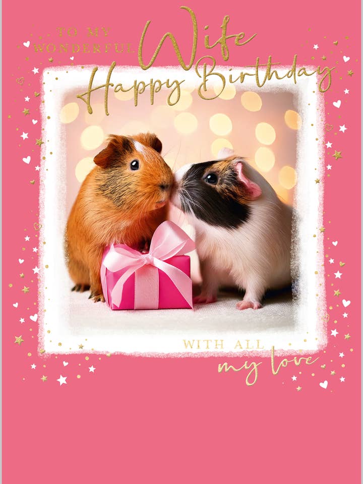 Wife Guinea Pig Couple for wholesale by Abacus Cards and Clare Maddicott Publications
