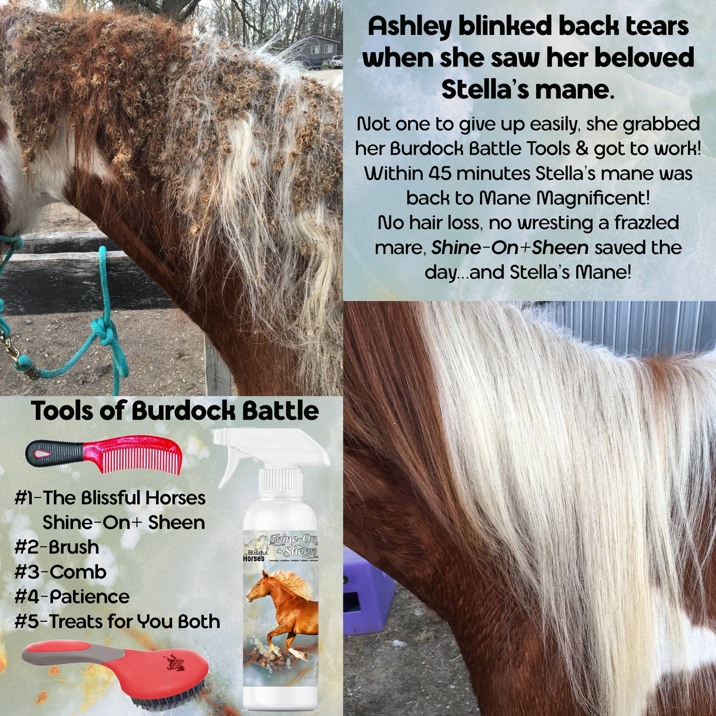 The Blissful Dog - Vente Produit de toilettage – chien - Spray Brillance et Éclat Shine-On+Sheen pour Chevaux The Blissful Dog8