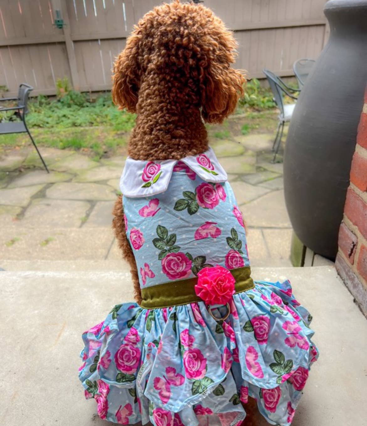 Doggie Design - Wholesale Pet Dress - Dog - Pink Rose Dog Harness Dress w/ Matching Leash4
