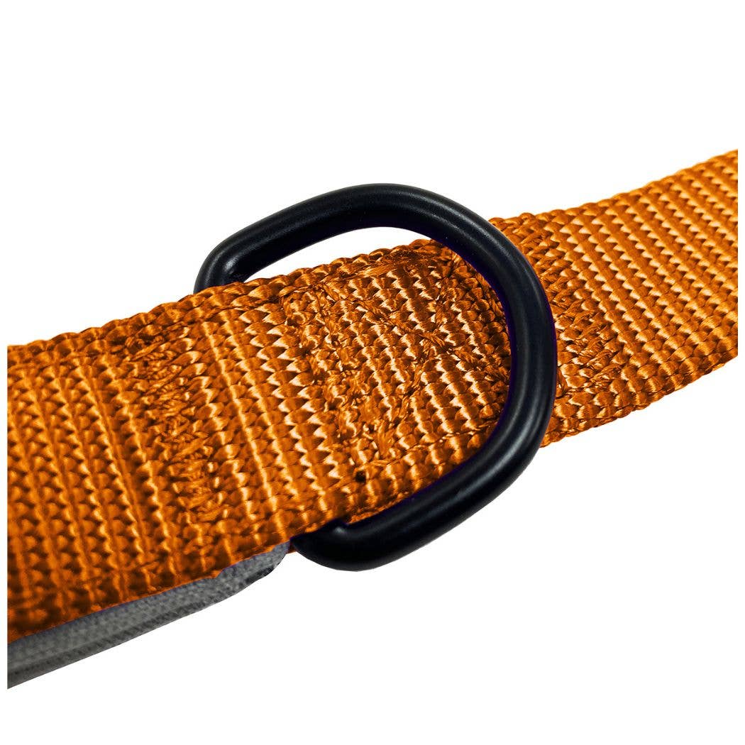 HugglePets – wholesale Pet leash – Dog – HugglePets Padded Nylon Dog Lead23