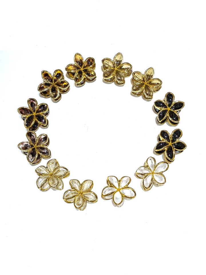 n24, Pack of 12 clips for wholesale by LOLO & YAYA