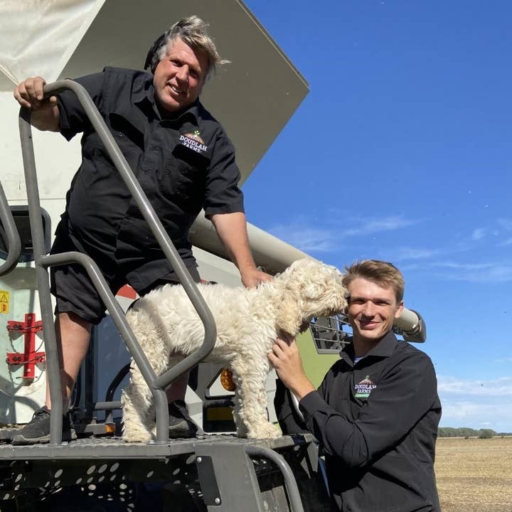 Doudlah Farms Organics - Wholesale Popcorn - Organic Yellow Popcorn10