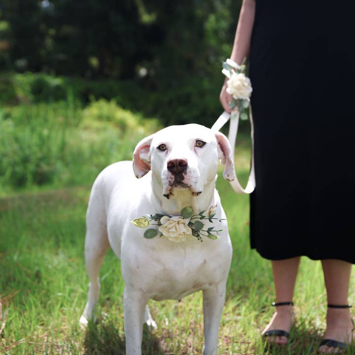 Indy Supply Co - Venta al por mayor Bandana - Perros - Collar de boda con decoración floral para perros | Ring Bearer Dog