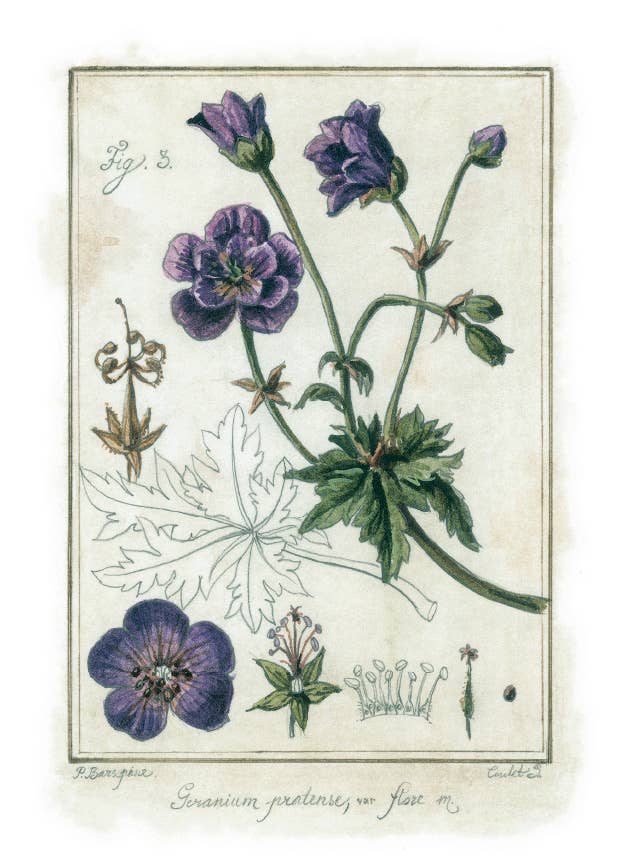 Bomo Art Budapest - Wholesale Everyday Greeting Card - Greeting Card + Envelope16