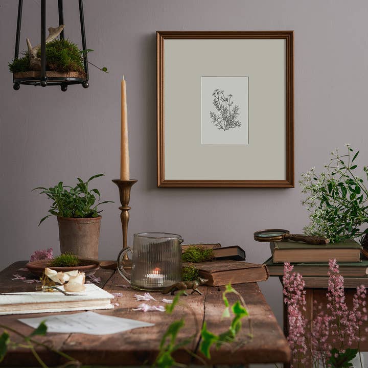 Kara Valentino Ffield Art - Wholesale Art Print - Chamomile | Art Print 1