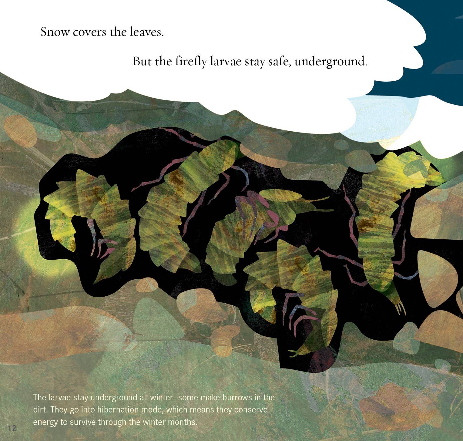 Sleeping Bear Press - Wholesale Book - Kids - Light the Sky, Firefly! Picture Book5