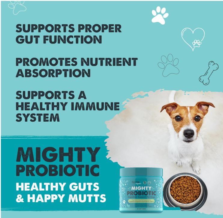 Mighty Paw – Großhandel Nahrungsergänzungsmittel für Haustiere – Hund – Mighty Probiotic: Verdauungsunterstützendes Nahrungsergänzungsmittel1