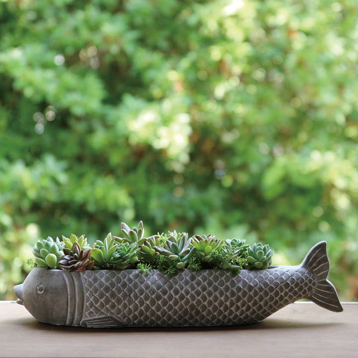 Time Concept - Wholesale Plant Pot - Koi Planter Large