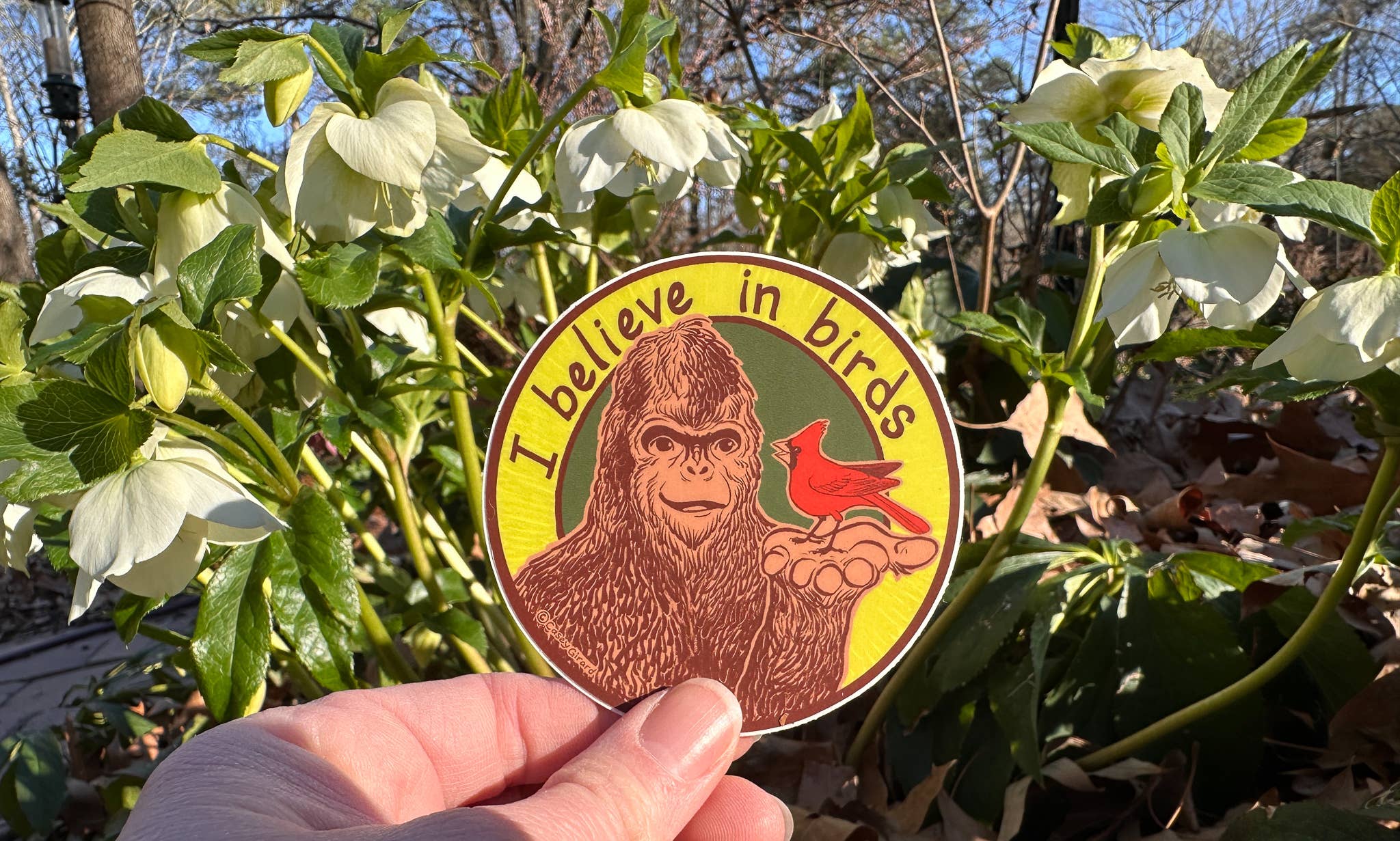 River Thrush Studio - Wholesale Sticker - I Believe in Birds - Bigfoot & Bird  Vinyl  Sticker1