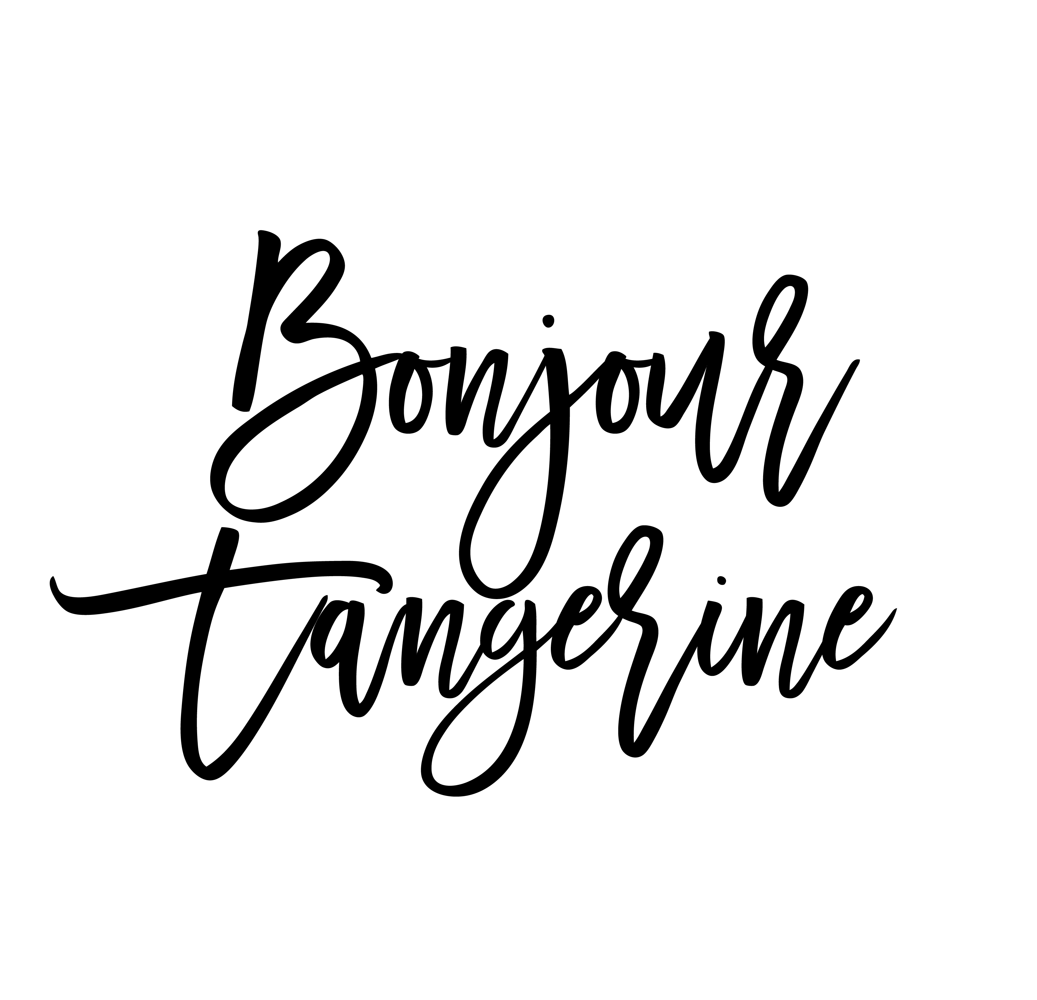 La bouillotte en graines de lin - Nature • Bonjour Tangerine