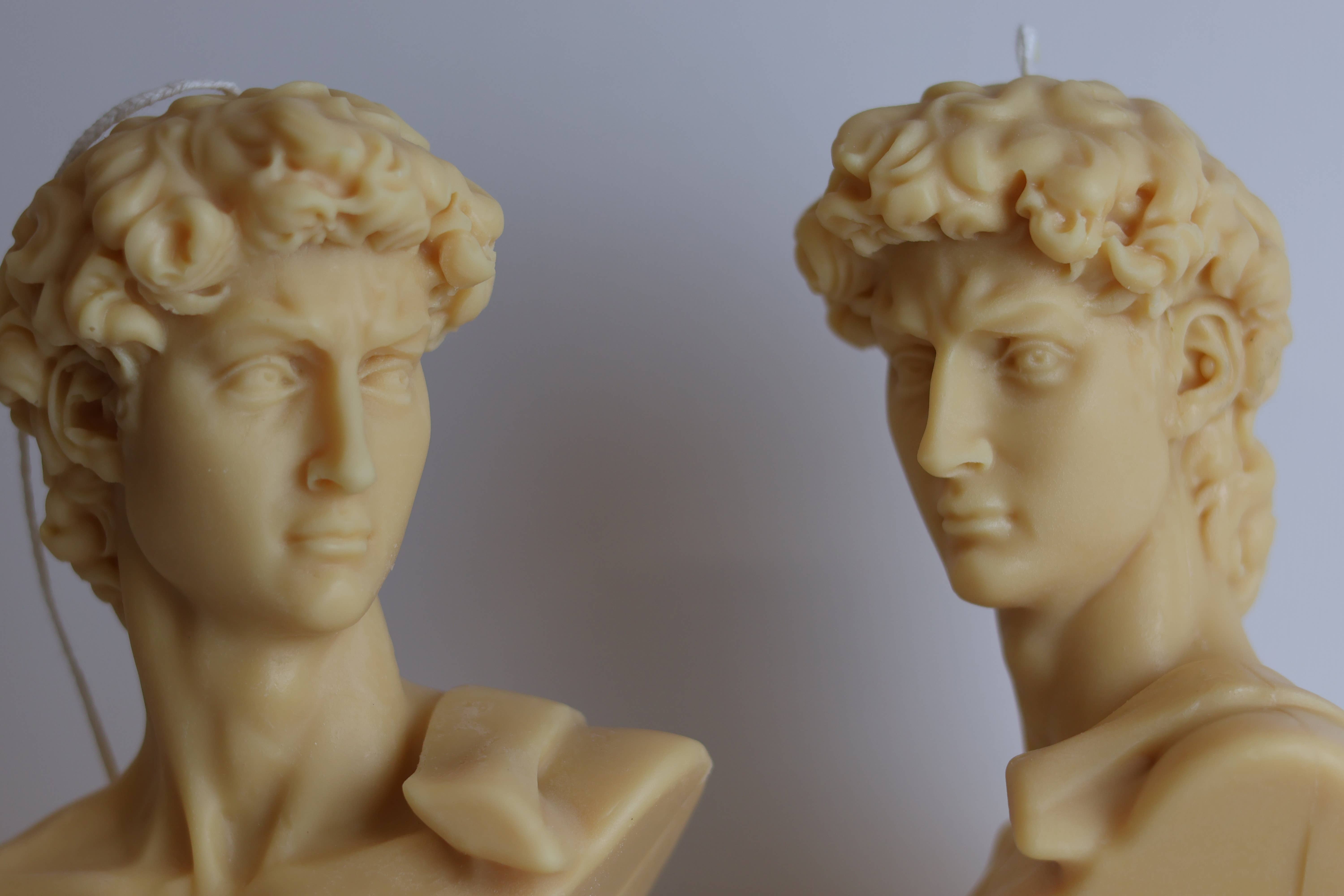 Agaboo Candle - Wholesale Novelty Candle - David Head Candle 5.5x5in - Sculptural5