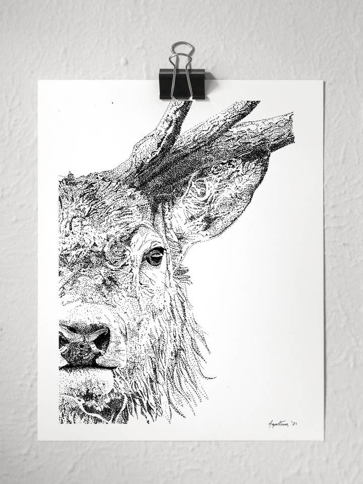 ELK for wholesale by Art by Agostina