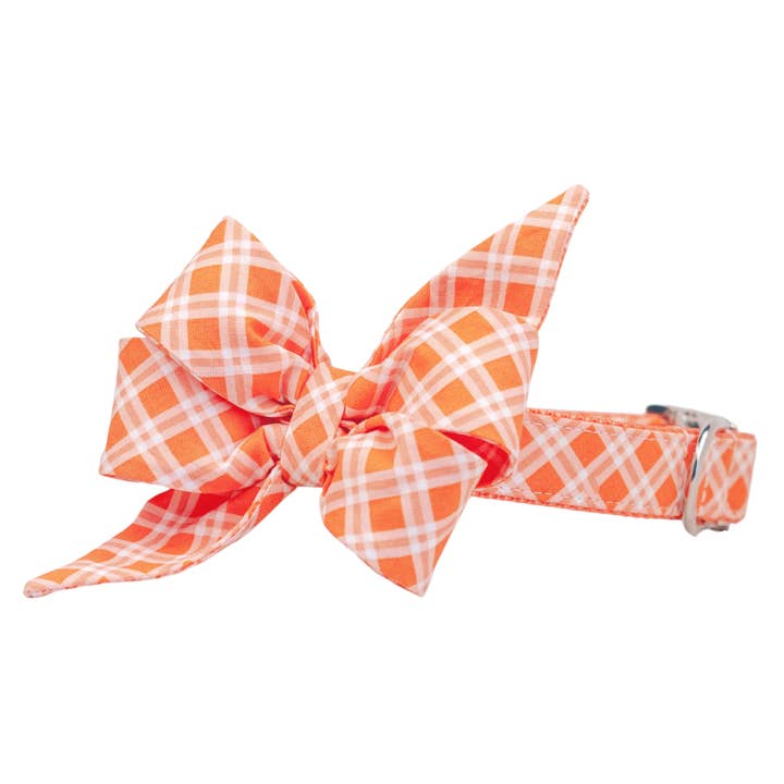 Orangeade Plaid Belle Bow Dog Collar for wholesale by Crew LaLa
