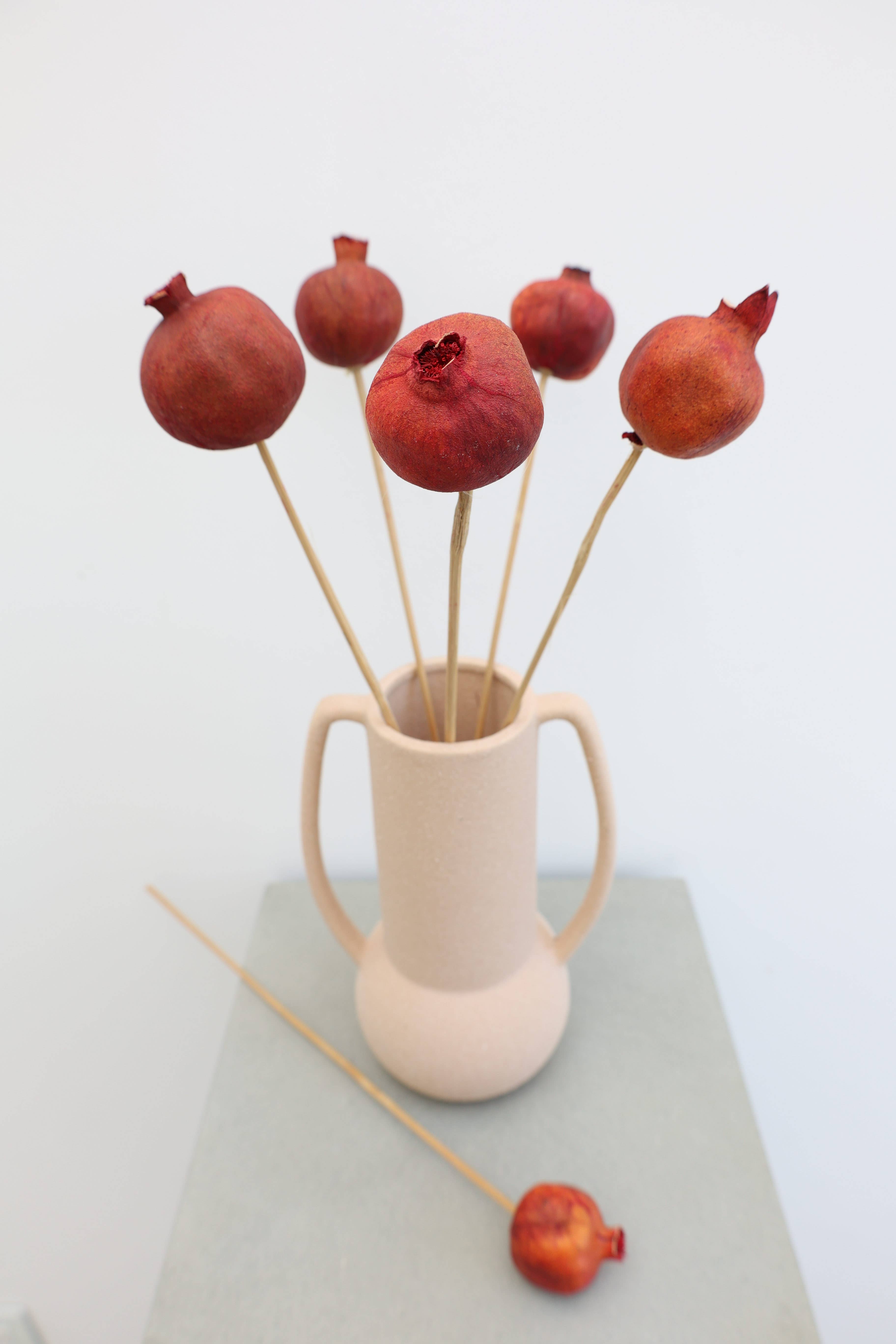 FlowerFantaSee - Wholesale Dried/Pressed Flowers - Dried Pomegranate Stems 6