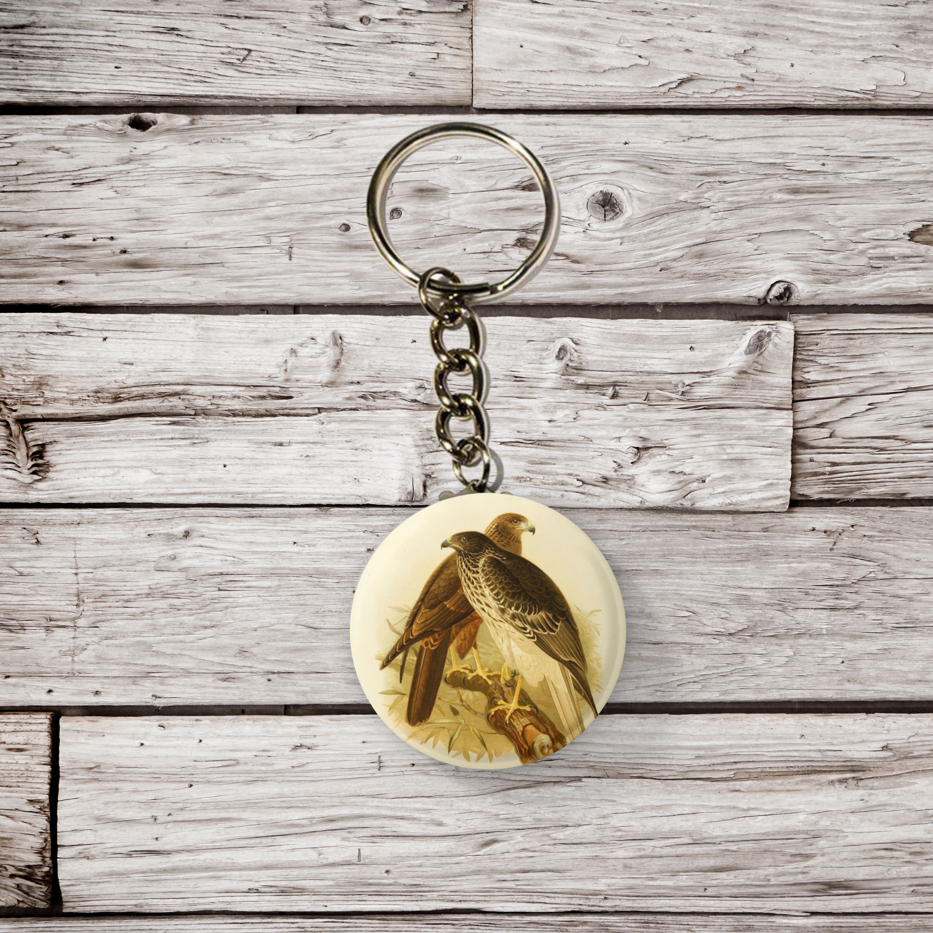 NatureCuts – Alfinete/botão de lapela por atacado – Prego de Falcão, Porta-chaves de Falcão, Íman de Falcão5