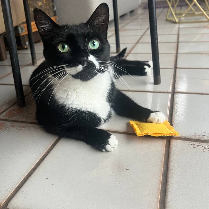 The Mustache Cat Made - Wholesale Pet Toy - Cat - Ravioli Catnip Toy3