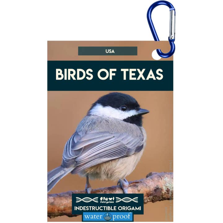 Fåglar i Texas-Oförstörbar Origami för wholesale av Flexi Field Guides