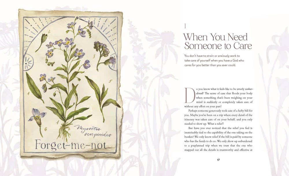 HarperCollins Christian Publishing - Wholesale Religion Book - The Way of the Wildflower : Gospel Meditations to Unburden Y6