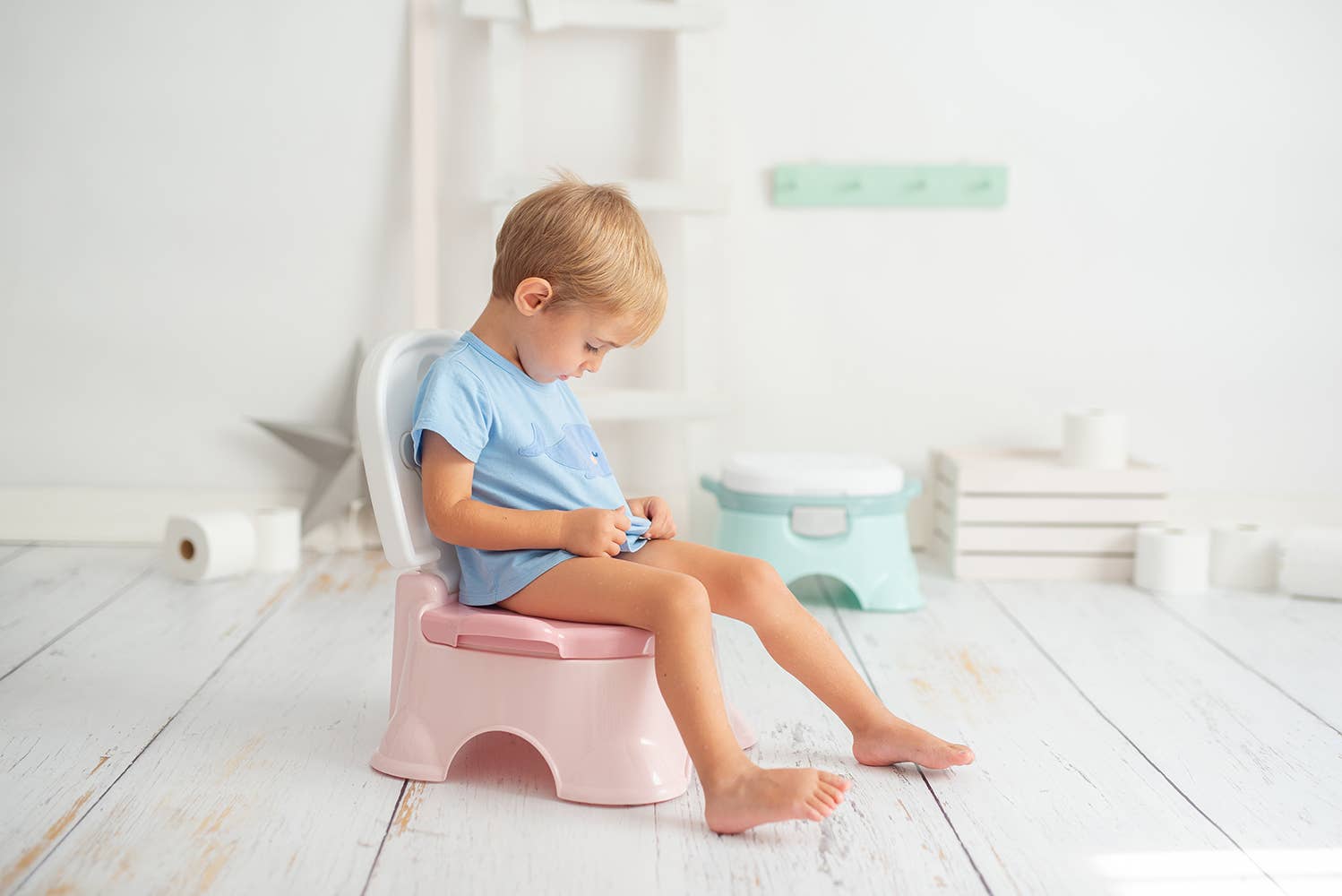 Olmitos S.A – Großhandel Töpfchen-Trainingsstuhl – Kinder-Töpfchen 3-in-1 Corona in hellen Farben6