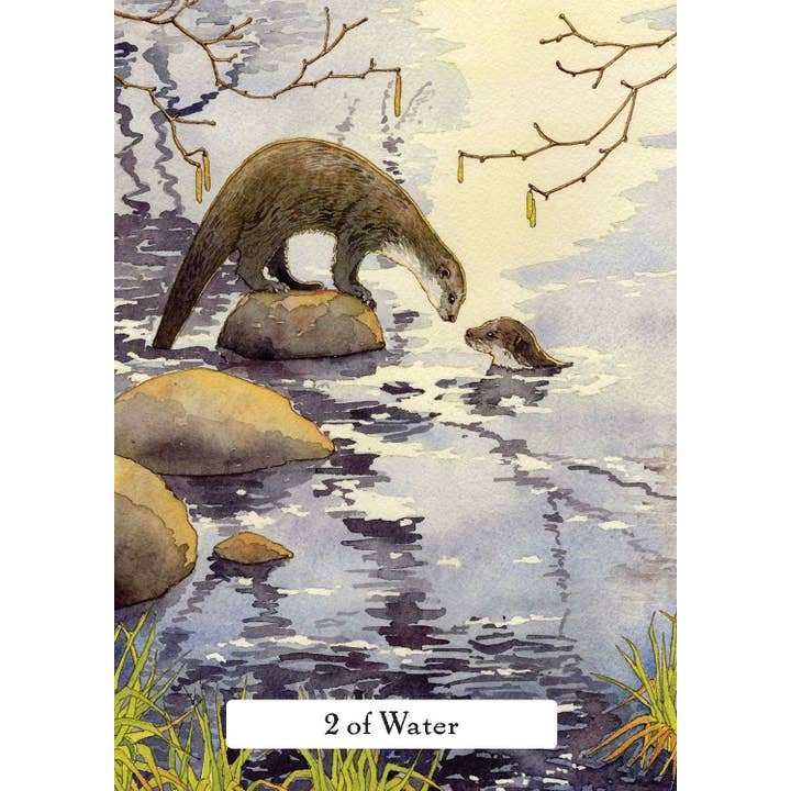 Cardshouse - Wholesale Tarot Cards - The Witches Wisdom Tarot Cards Hay House (Standard Edition)4