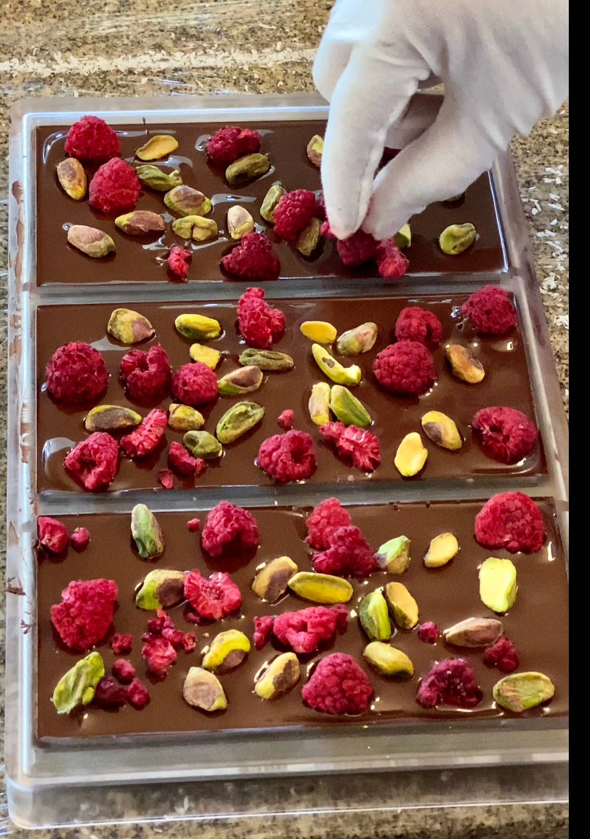 CELIA CHOCOLATIER - Wholesale Chocolate Bar - 70% Dark Chocolate | Raspberry, Pistachio, Coconut 8