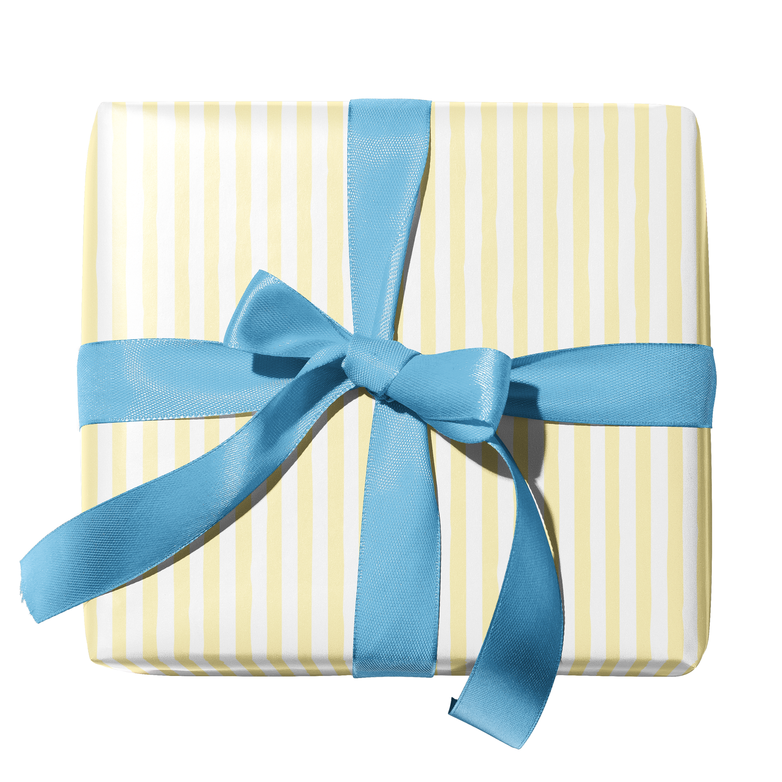 Ramus & Co. - Wholesale Wrapping Paper Roll - Seagulls and Waves Gift Wrap Double-Sided1