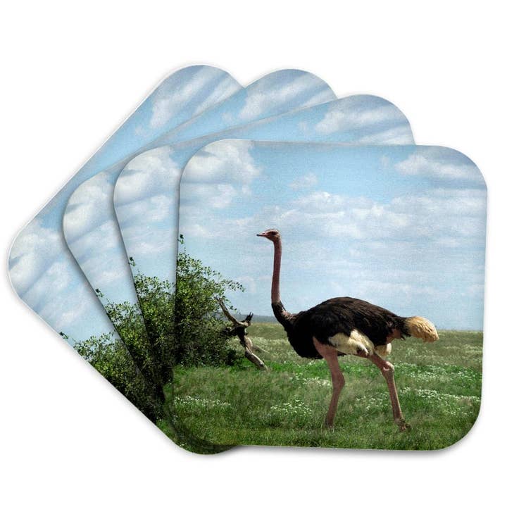 3dRose - Wholesale Coasters - 3dRose, An Impressive Ostrich Walking through the Landscape, Coaster7