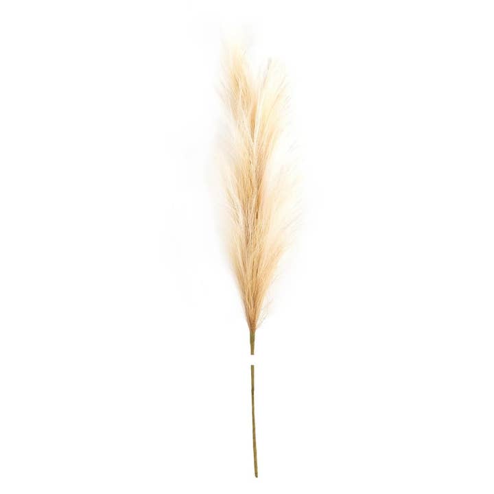 Truu Design - Wholesale Dried/Pressed Flowers - Truu Design Faux Pampas Grass Stem, Brown, 28"