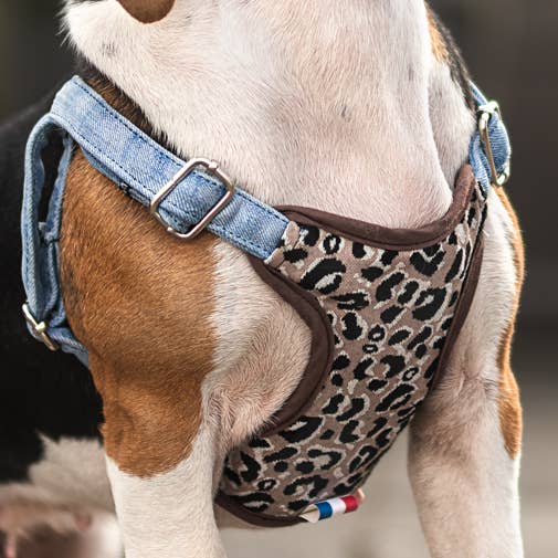 Brustgurt für den Großhandel von STYLE DE WOOF