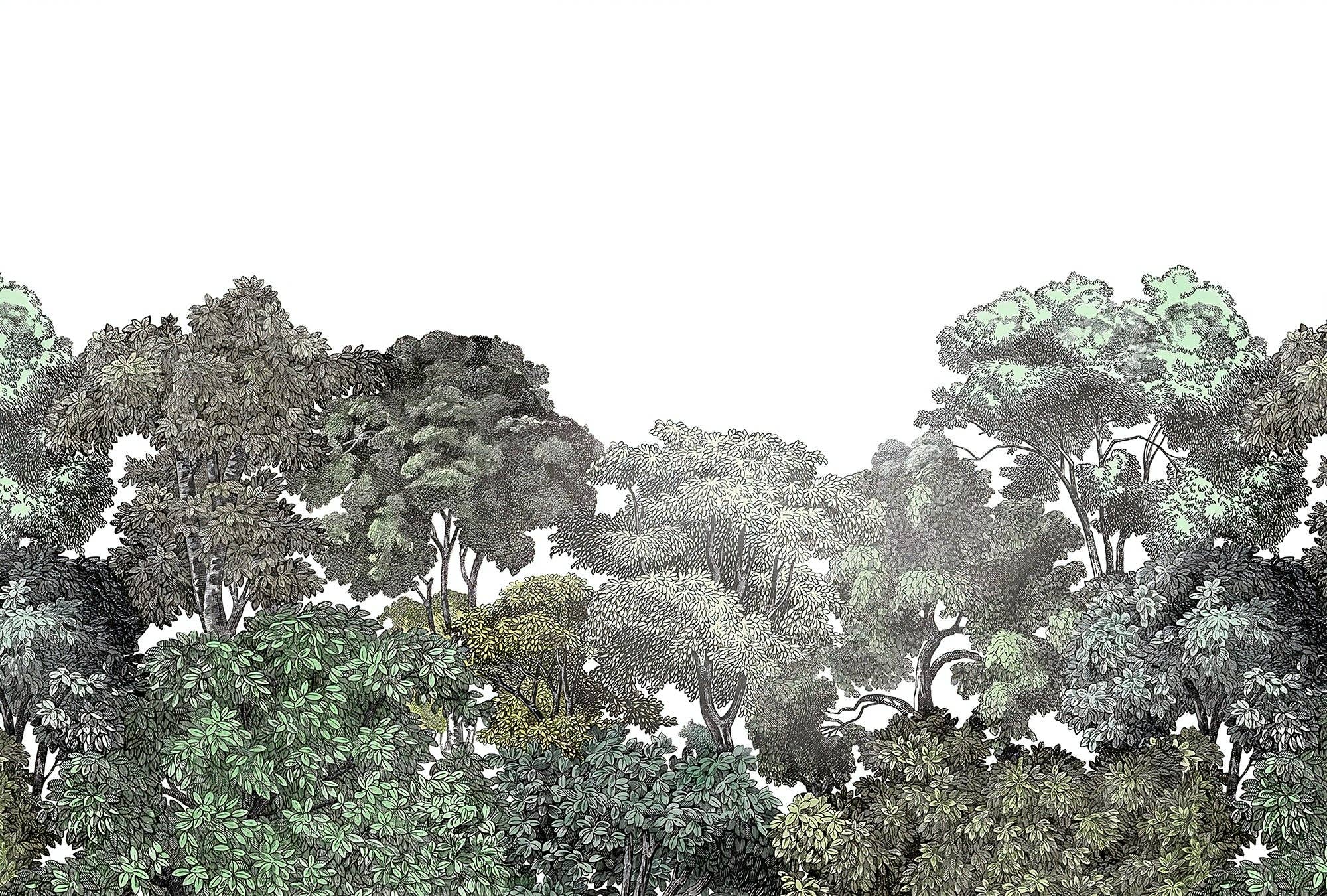 Les Panoramiques - Wholesale Wallpaper - Summer Forest Panoramic Wallpaper3