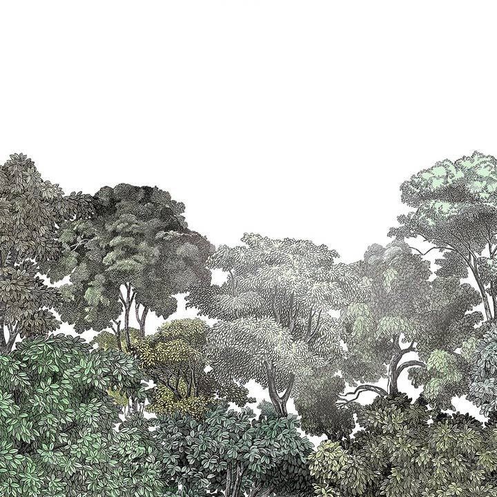 Les Panoramiques - Wholesale Wallpaper - Summer Forest Panoramic Wallpaper3