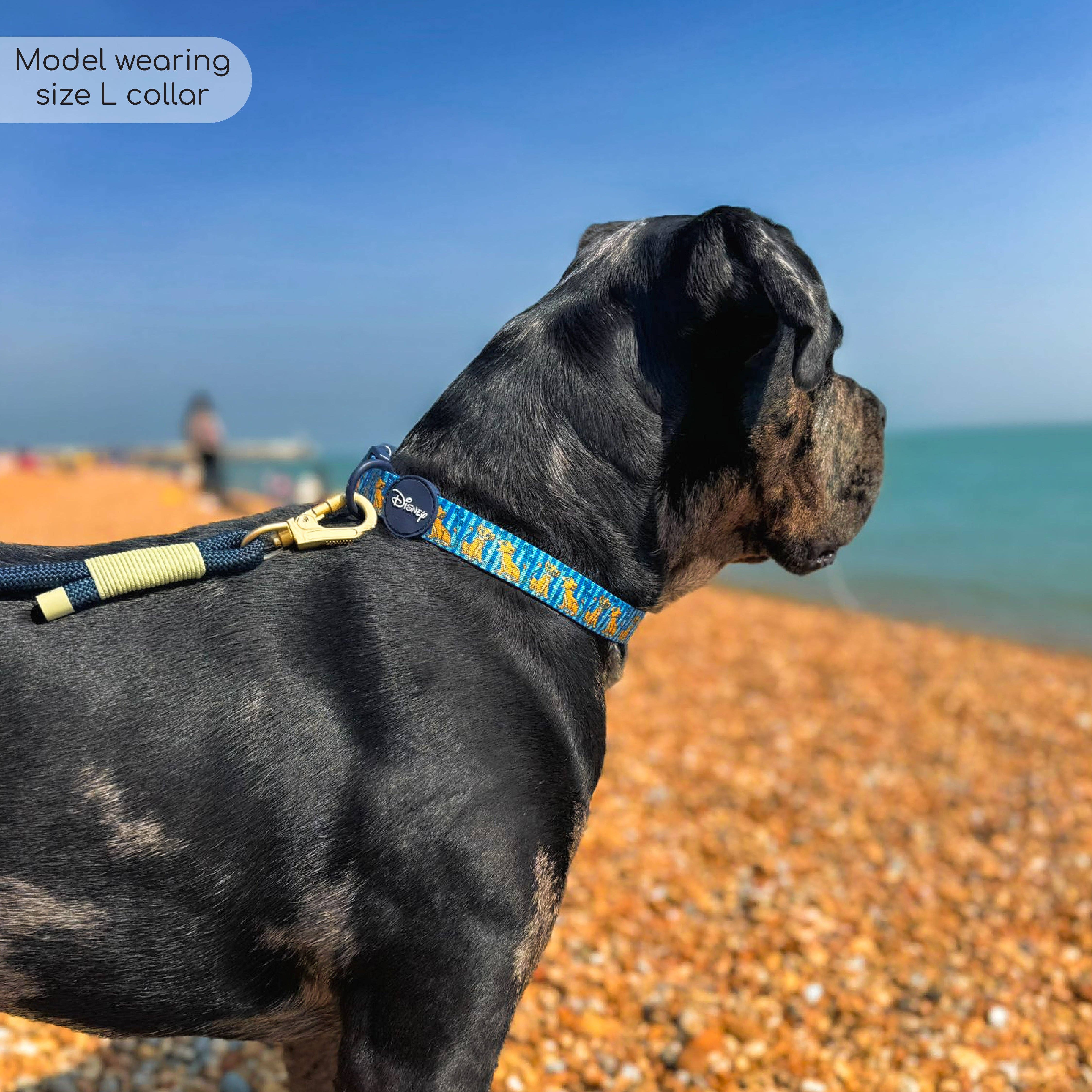 Pawsome Paws - Wholesale Pet Collar - Dog - Disney© Collar - Simba5