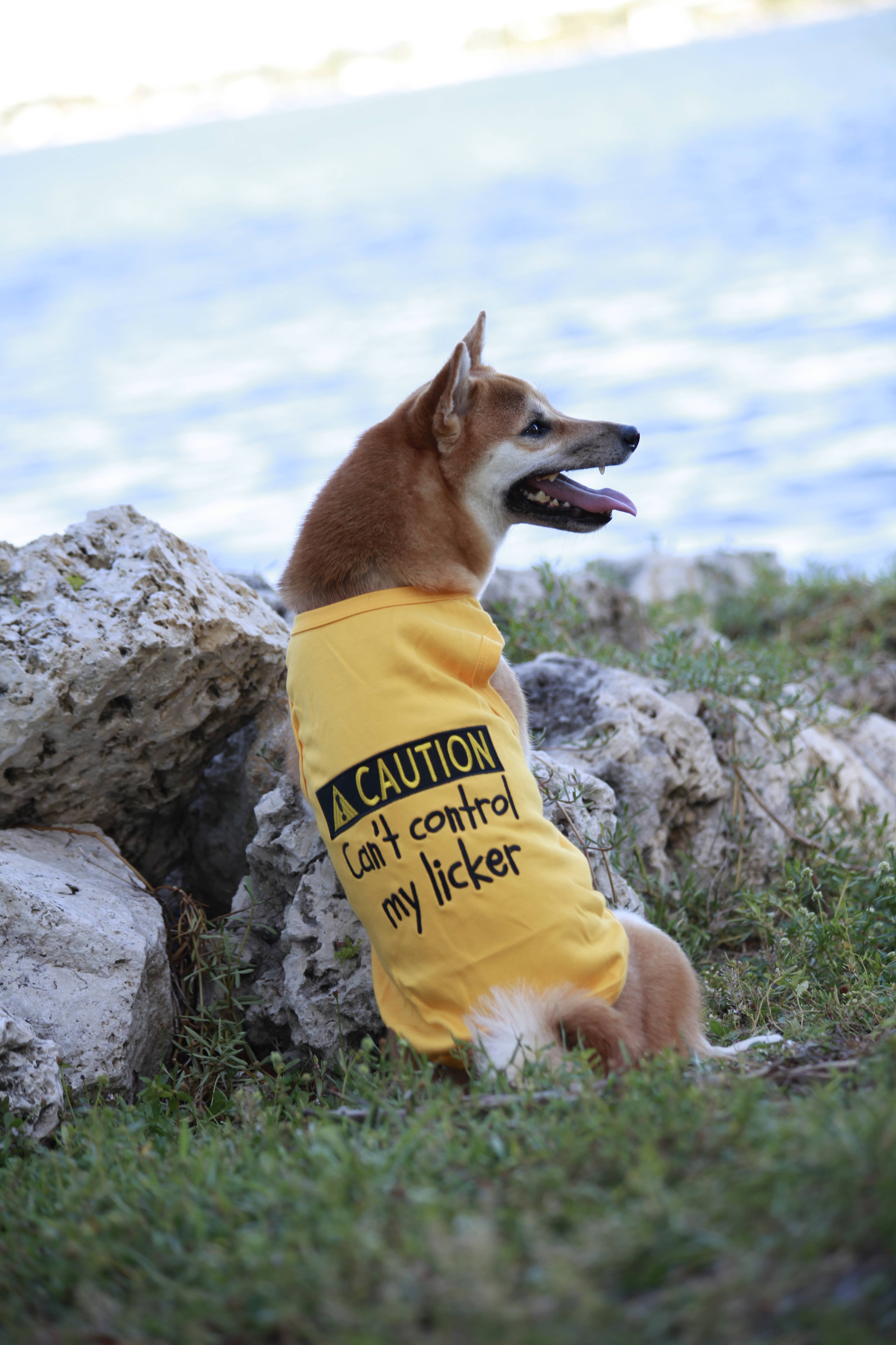 Parisian Pet® - Wholesale Pet Shirt - Dog - Licker Dog T-Shirt – Trendy & Humorous Pet Clothing4