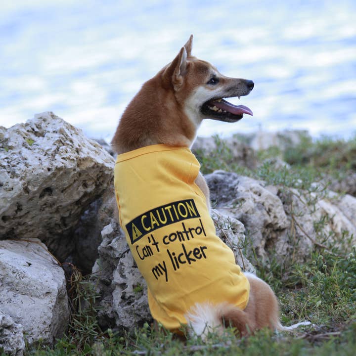 Parisian Pet® - Wholesale Pet Shirt - Dog - Licker Dog T-Shirt – Trendy & Humorous Pet Clothing4