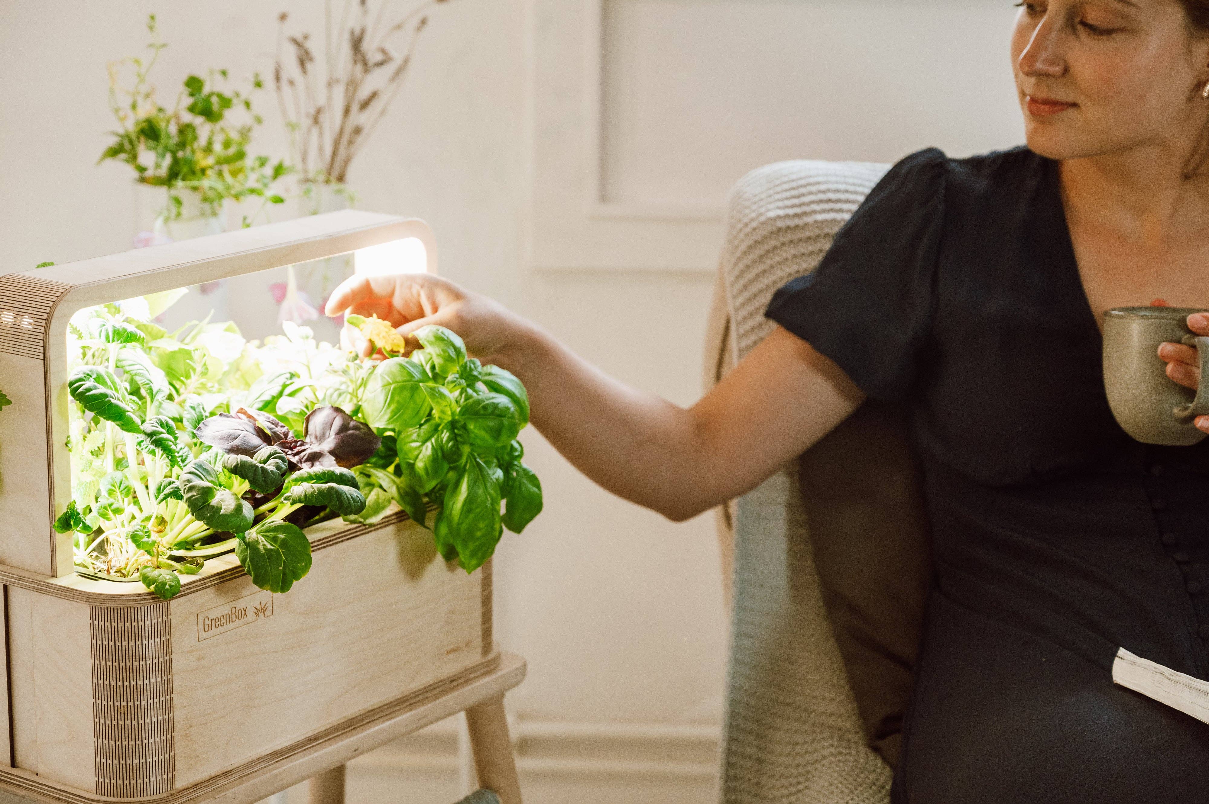 BerlinGreen – wholesale Plant seeds – GreenBox Great Variety Bundle2