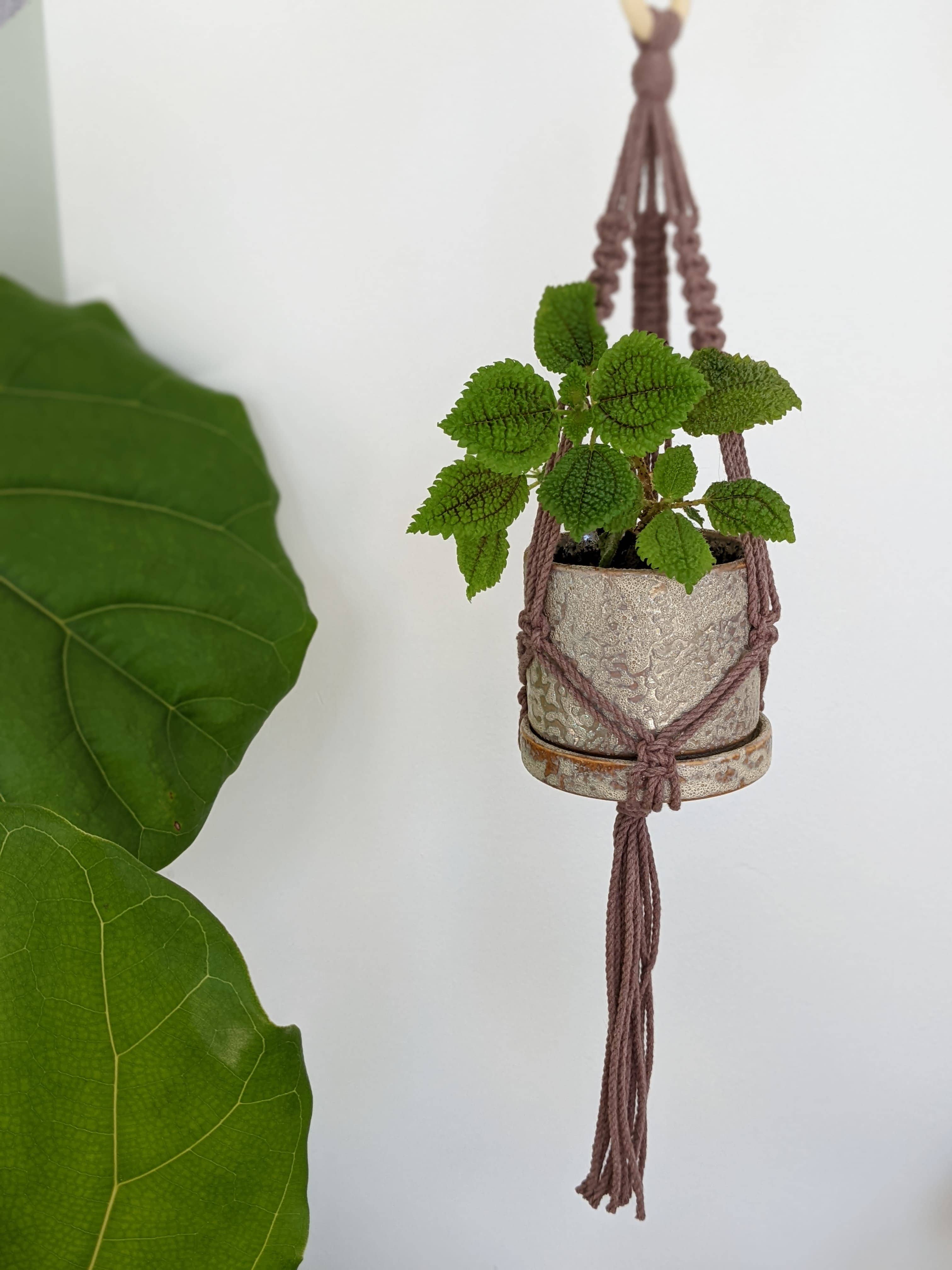 Leaf and Cord - Vente Jardinière suspendue - Cintre pour plantes en macramé - Le Petit5