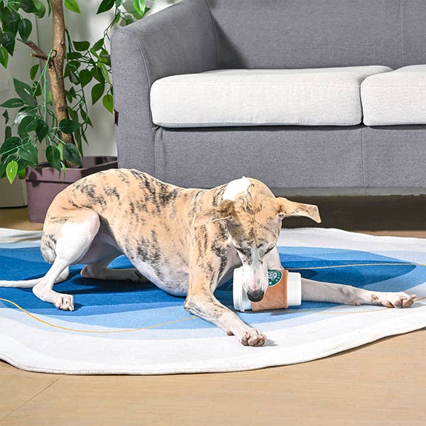 Hugsmart Products Inc – Großhandel Haustier-Quietschspielzeug – Hund – HugSmart Pet - Coffee Hour | StarPaws Coffee - TPR-Gummispielzeug3