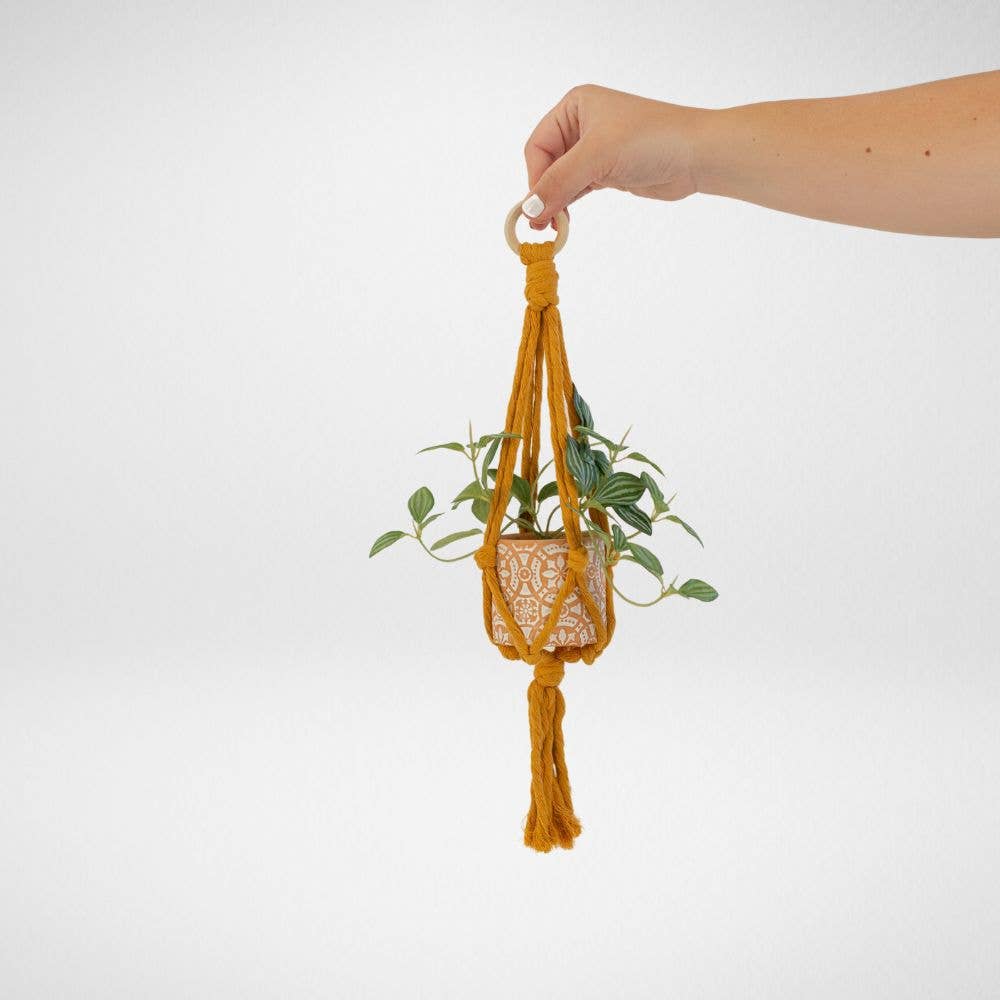 Freeleaf - Wholesale Hanging Planter - Mini Flourish Plant Hanger1
