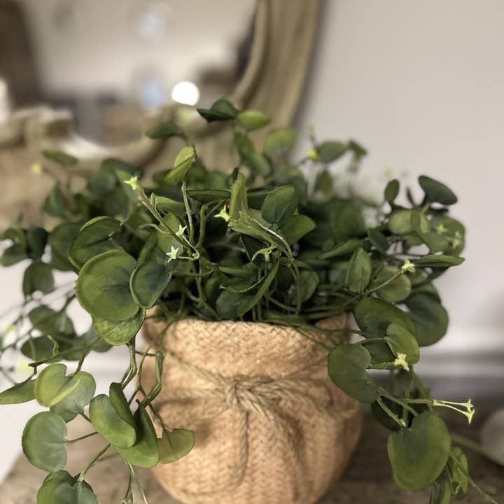 Vagabond Vintage - Wholesale Plantenpot - CEMENTZAK MET PLANTENBAK MET TOUWBINDER