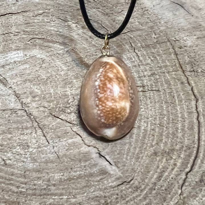 Collar Megis Shell para venta al por mayor de Crystals of the Mines LLC