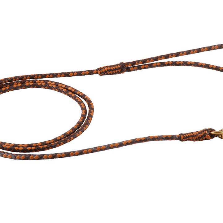 Alvalley - Wholesale Pet Leash - Dog - Braided Leather Snap Leads90