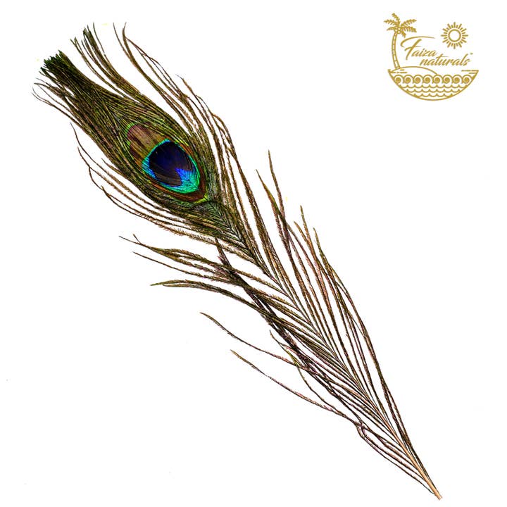 Faiza Naturals - Wholesale Sage Bundle - Peacock Feathers for Smudging