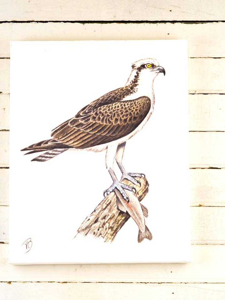 Tela Osprey Pássaro Estampado — Uma Aguarela por atacado de Streetlightbirds