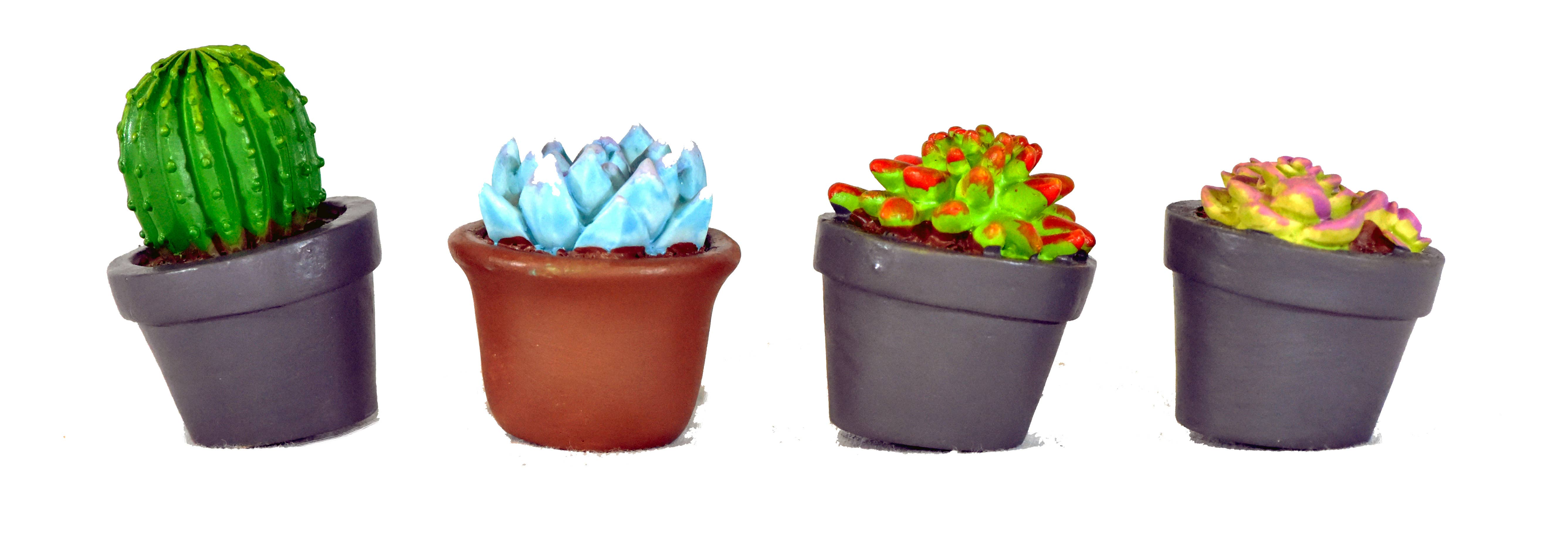 G & F Products - Wholesale Succulent - Garden Miniature Succulent, 4 pc4